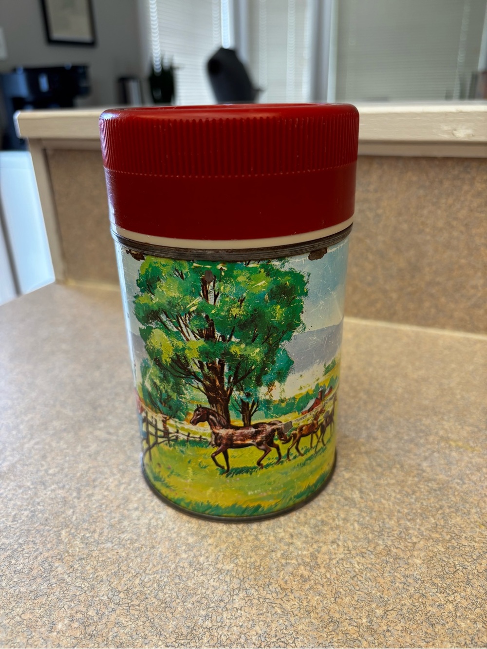 vintage 1961 “pets & pals thermos